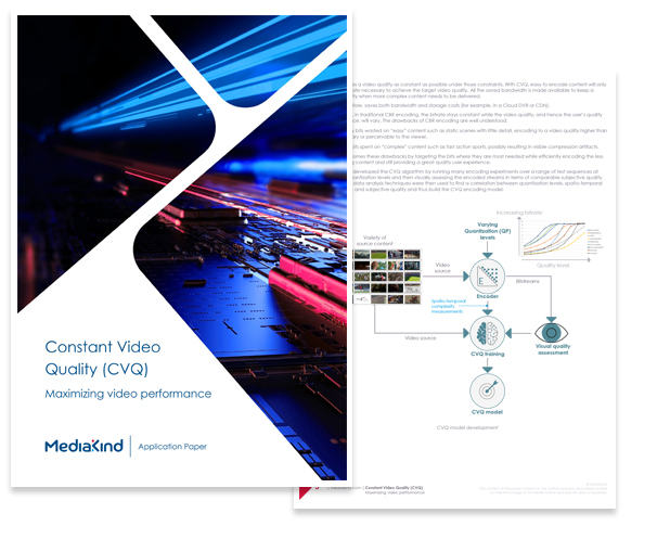 Constant Video Quality (CVQ)